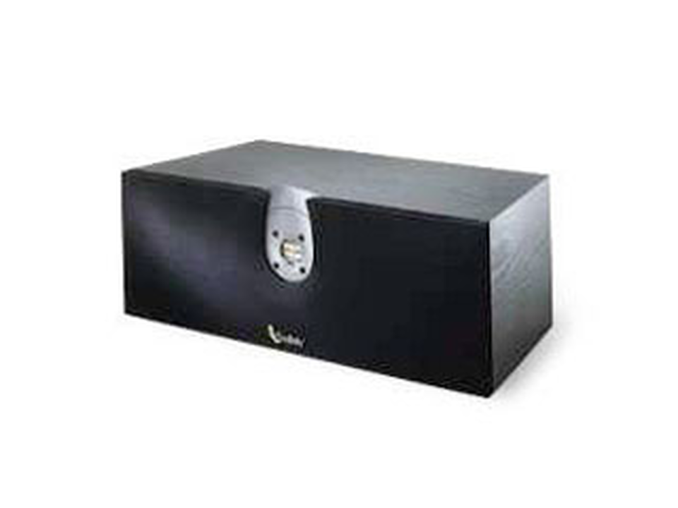 DELTA CENTER - Black - 2-Way 100 Watt Speaker Center Channel Speaker - Hero